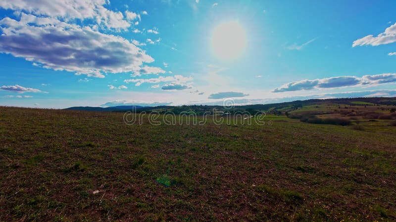 Vidéo verticale FPV drone vue banque sur des champs verts vibrants et campagne ondulante sous ciel bleu vif avec clips vidéos