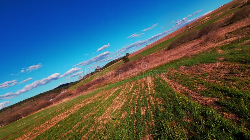 Vidéo verticale FPV drone vue banque sur des champs verts vibrants et campagne ondulante sous ciel bleu vif avec banque de vidéos
