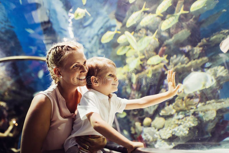 Vie marine de observation de mère et de fils dans l'oceanarium photos libres de droits Vie marine de observation de mère et de fils dans l'oceanarium photos libres de droits