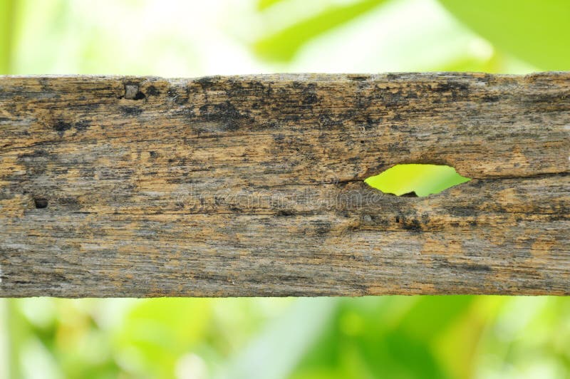Vieille barrière en bois avec le trou de fente dans le jardin images stock Vieille barrière en bois avec le trou de fente dans le jardin images stock