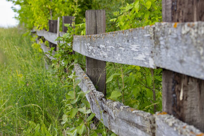 Vieille barrière rurale en bois, bois non traité avec des traces de champignon de vieillissement et mousse Planches en bois de ba images libres de droits Vieille barrière rurale en bois, bois non traité avec des traces de champignon de vieillissement et mousse Planches en bois de ba images libres de droits
