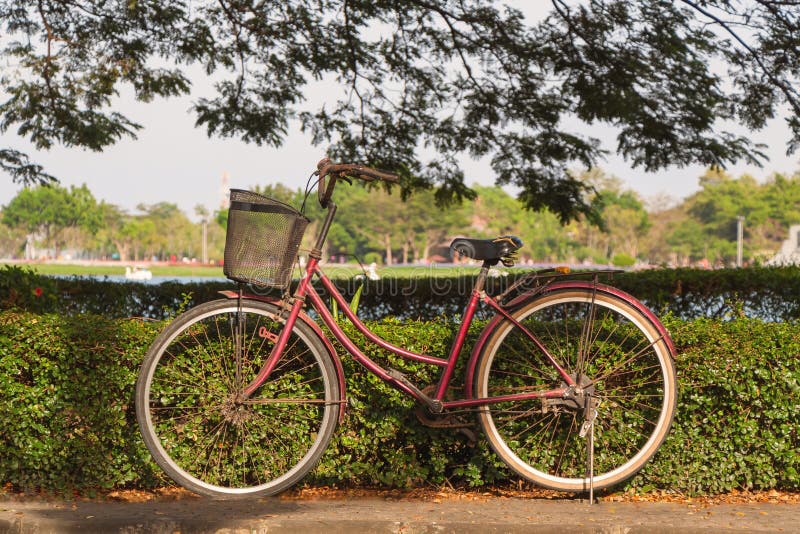 vieille à bicyclette