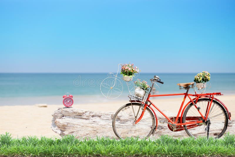 Vieille bicyclette rouge avec le panier et fleurs avec l'herbe verte et l'aile du nez photographie stock Vieille bicyclette rouge avec le panier et fleurs avec l'herbe verte et l'aile du nez photographie stock