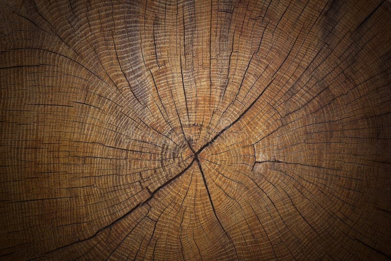 Vieille, criquée texture en bois en coupe de fond de tronc d'arbre photo stock Vieille, criquée texture en bois en coupe de fond de tronc d'arbre photo stock