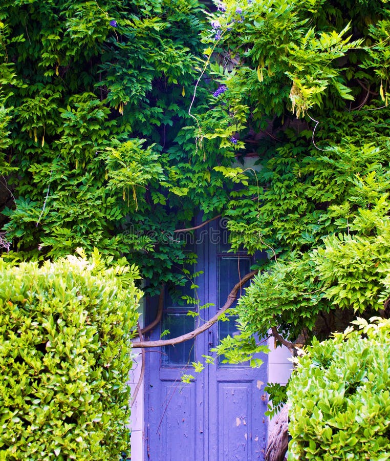 Vieille porte envahie cachée photo stock Vieille porte envahie cachée photo stock