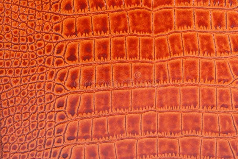 Vieille texture de cuir de crocodile
