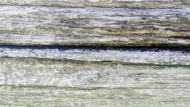 Vieille texture de logarithme naturel images stock Vieille texture de logarithme naturel images stock