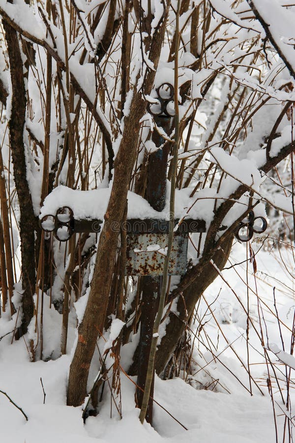 Vieille tombe négligée avec la croix de fer envahie avec des arbres couverts de neige photos stock Vieille tombe négligée avec la croix de fer envahie avec des arbres couverts de neige photos stock