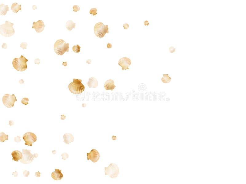Vieira exótica, escudo bivalve da pérola, molusco marinho isolado no fundo selvagem branco da natureza da vida ilustração do vetor Vieira exótica, escudo bivalve da pérola, molusco marinho isolado no fundo selvagem branco da natureza da vida ilustração do vetor