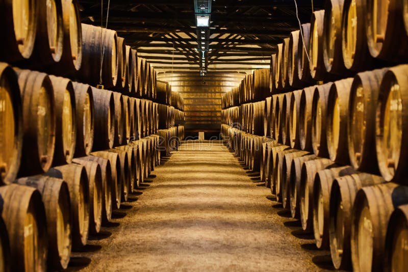Viejo envejeci? barriles de madera tradicionales con el vino en una c?mara acorazada alineada en s?tano fresco y oscuro en Italia foto de archivo libre de regalías Viejo envejeci? barriles de madera tradicionales con el vino en una c?mara acorazada alineada en s?tano fresco y oscuro en Italia foto de archivo libre de regalías
