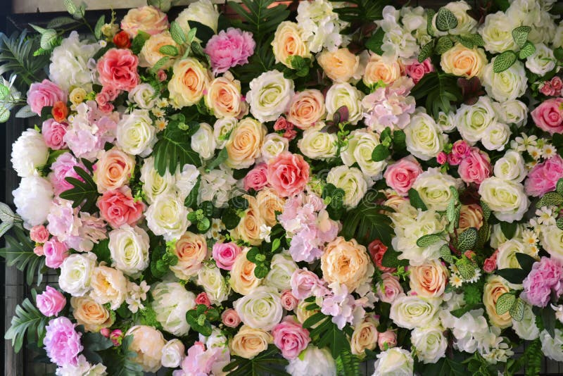Viele Farben von Rosen schauen gl?cklich lizenzfreies stockbild Viele Farben von Rosen schauen gl?cklich lizenzfreies stockbild