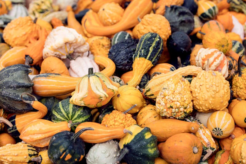 Herbst Hintergrund Photos Free Royalty Free Stock Photos From Dreamstime