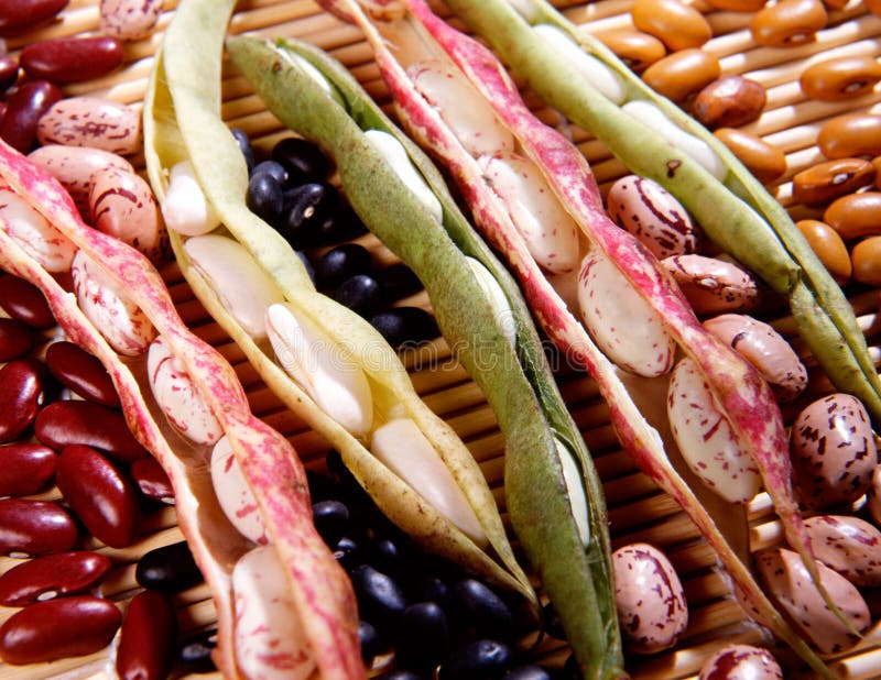 Vielzahl Der Getrockneten Bohnen Stockbild - Bild von hülsen, blähung ...