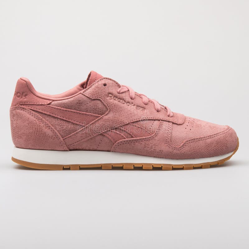 Reebok Leather Clean Exotics Pink Sneaker Editorial Stock Image - Image of running, 178078734