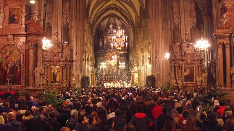 VIENNA, AUSTRIA - DICEMBRE, 24 Natali si ammassano nella cattedrale del ` s di Santo Stefano Destinazione turistica popolare dell