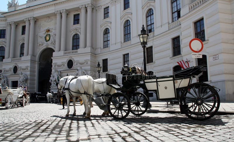 Vienna - Horses with carriage (Fiaker)