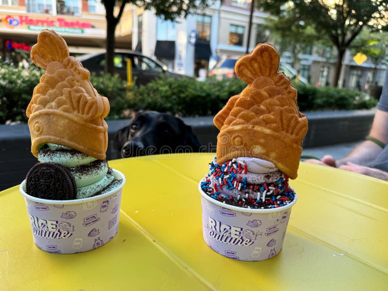 Fish Waffles on Soft Serve Ice Cream from Rice Culture, a Dessert