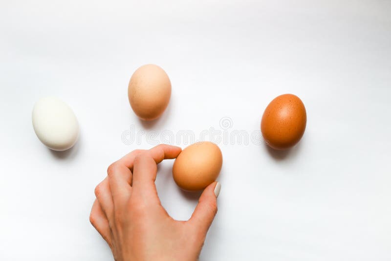 Vier Eieren Van Verschillende Kleur En Van Menselijke Hand Die één Ei Stock Afbeelding - dieet, gelijkheid: 177467931