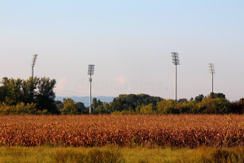 Vier große hohe Stadionsreflektorlichter, die hoch über Stadion und Bäume hinter trockenes Gras und Getreidefeld bei Sonnenunterg lizenzfreies stockbild Vier große hohe Stadionsreflektorlichter, die hoch über Stadion und Bäume hinter trockenes Gras und Getreidefeld bei Sonnenunterg lizenzfreies stockbild