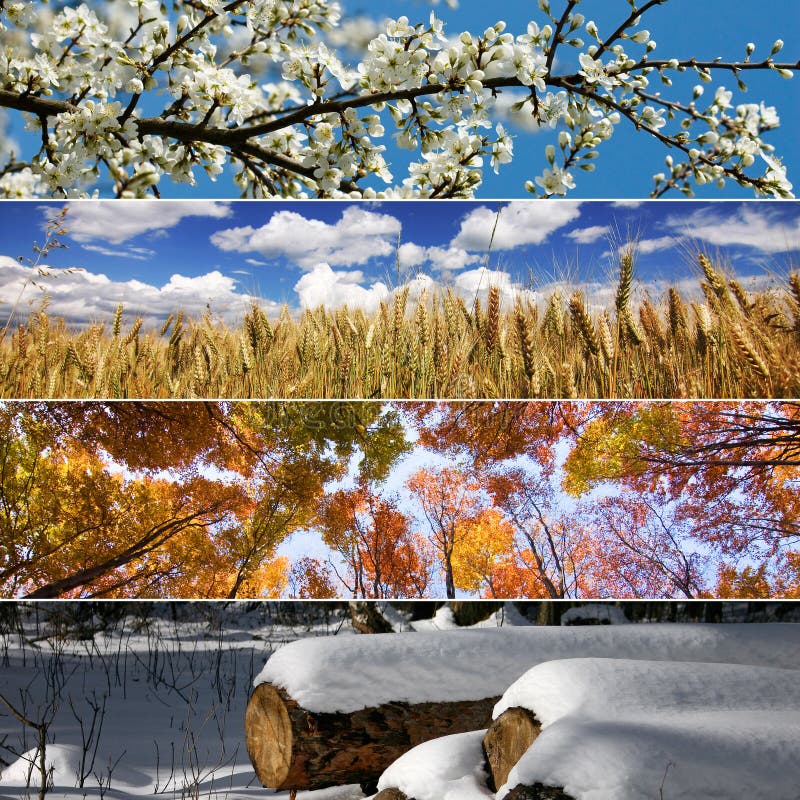 Übergang Mit Zwei Jahreszeiten Von Herbst Zu Winter Stockbild - Bild