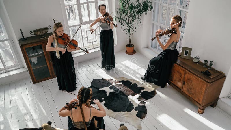 Vier Klassieke muzikanten die een concert geven binnen de ruimte en een goed gemeubileerde ruimte royalty-vrije stock foto's Vier Klassieke muzikanten die een concert geven binnen de ruimte en een goed gemeubileerde ruimte royalty-vrije stock foto's