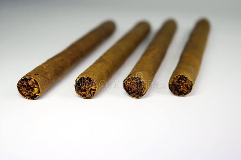 Four cigars on a white and gray background close-up. Four cigars on a white and gray background close-up