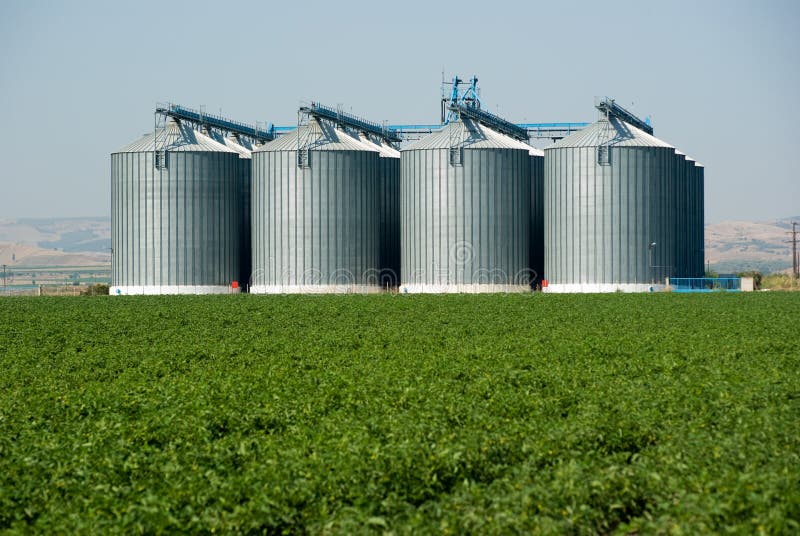 Foreground green field in background four Silos metal. Foreground green field in background four Silos metal