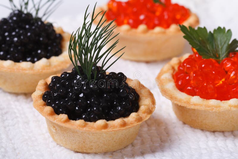 Vier tartlets met rode en zwarte vissenkaviaar stock afbeelding Vier tartlets met rode en zwarte vissenkaviaar stock afbeelding