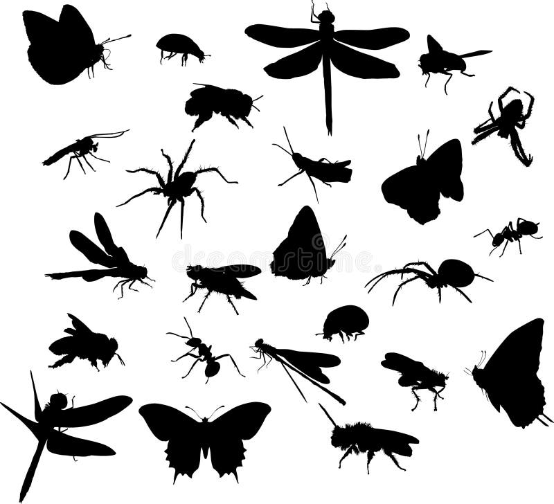 Illustration with insect silhouettes isolated on white background. Illustration with insect silhouettes isolated on white background