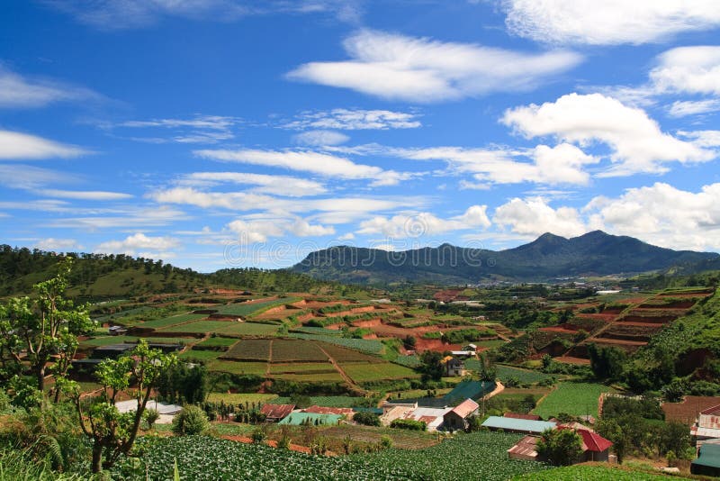 Vietnam Farmland