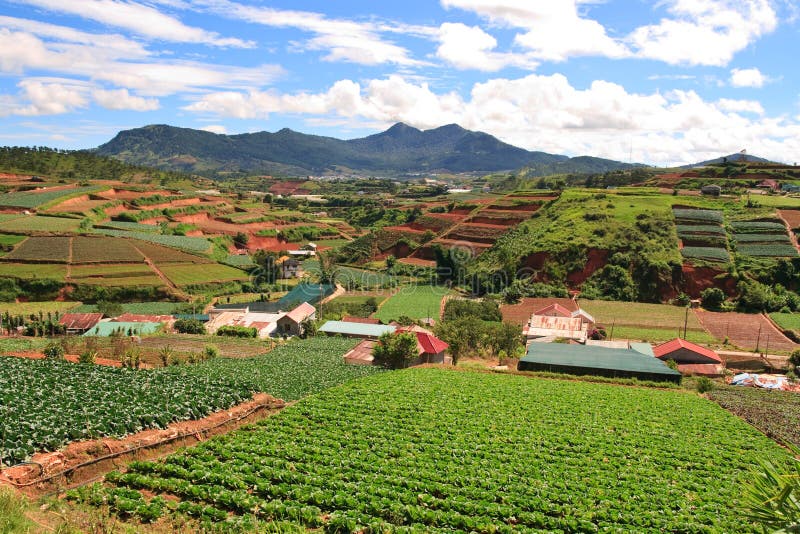 Vietnam Farmland