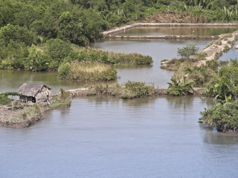 Vietnam mekong delta