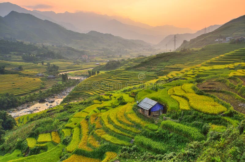 Vietnam Rýže Paddy Pole Rýžová pole ve Vietnamu s hut sedí na kopci.