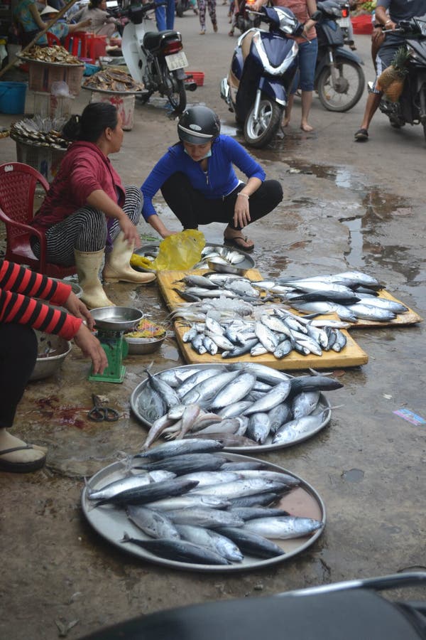 Vietnam southeast asia outdoor fish market travel food stock images Vietnam southeast asia outdoor fish market travel food stock images
