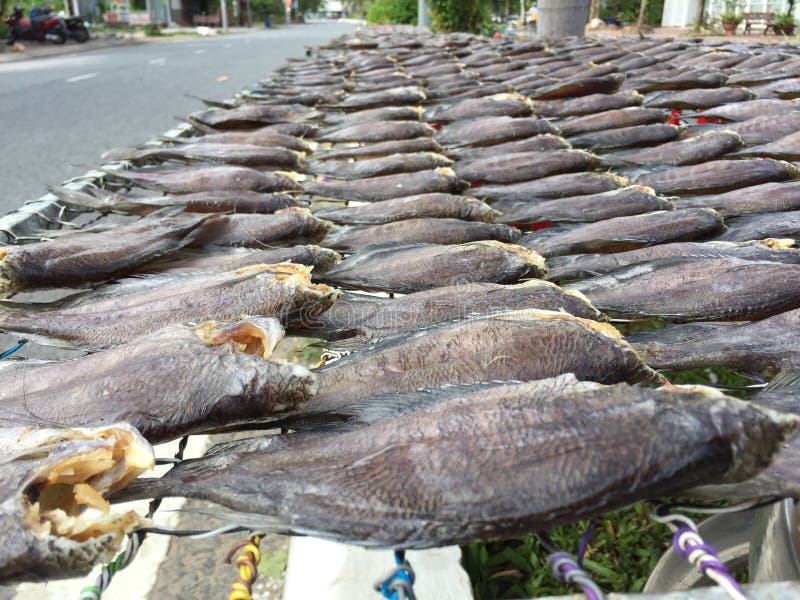 The Vietnamese Cuisine Seafood Dried Fish Stock Image Image of