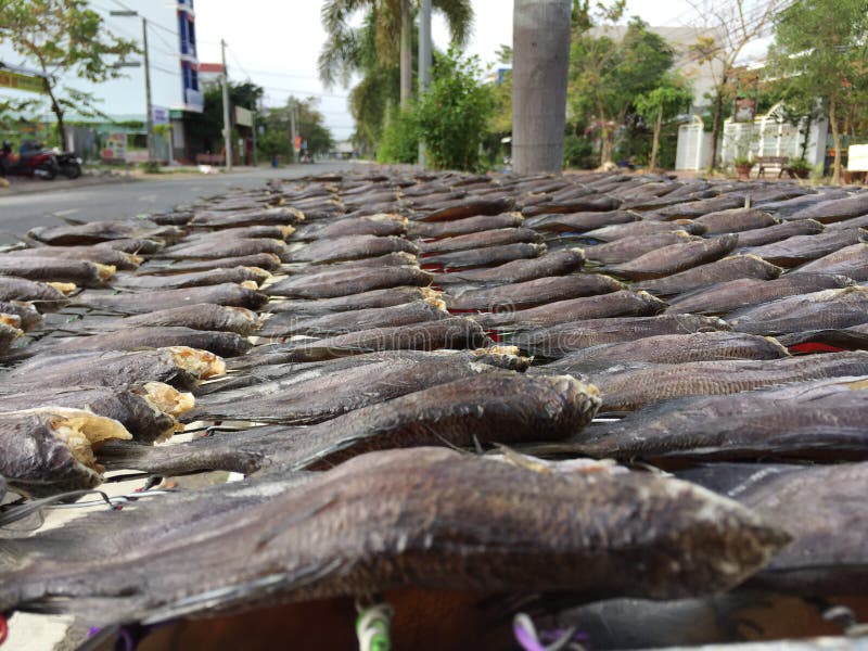 The Vietnamese Cuisine Seafood Dried Fish Stock Photo Image of