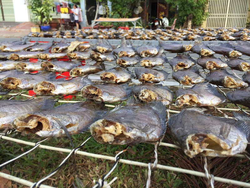 The Vietnamese Cuisine Seafood Dried Fish Stock Photo Image of