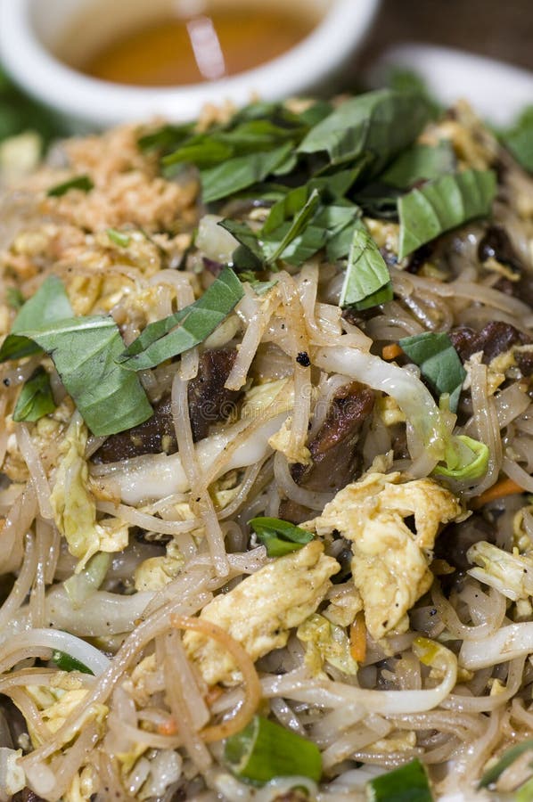 Vietnamese food Bun Xao rice noodles with shredded vegetables egg crushed peanuts nuoc cham sauce with shredded beef. Vietnamese food Bun Xao rice noodles with shredded vegetables egg crushed peanuts nuoc cham sauce with shredded beef