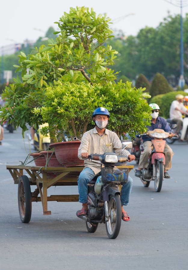 Vietnamese de tuinbomen van de motorrijderaandrijving stock fotografie Vietnamese de tuinbomen van de motorrijderaandrijving stock fotografie