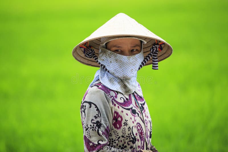 Vietnamese Farmer royalty free stock image Vietnamese Farmer royalty free stock image