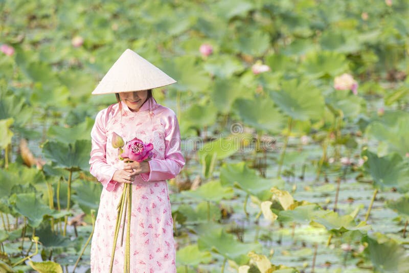 Vietnamese female on a wooden boat collecting lotus flowers. Asian women sitting on wooden boats to collect lotus. Beautiful girl