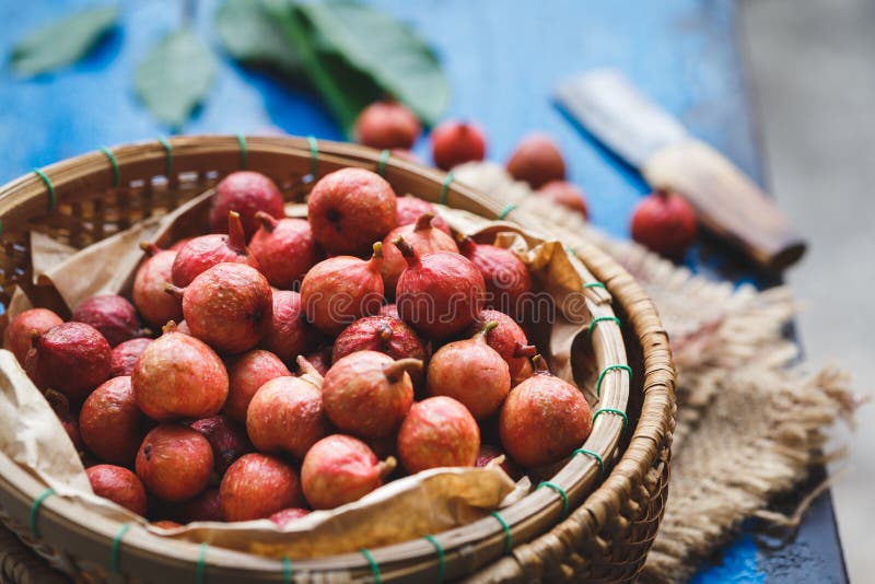 Vietnamese Figs stock photo. Image of leaf, drug, dark 86767674