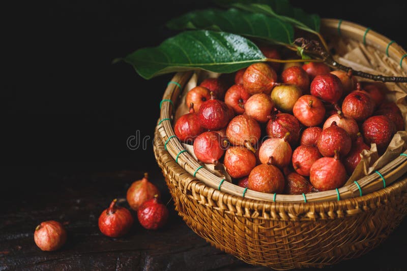 Vietnamese Spices and Condiments Stock Image Image of city, vietnam