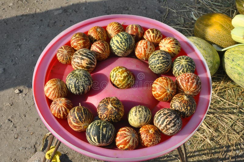 Vietnamese melon stock photo. Image of yellow, vietnamese 98886086