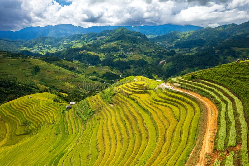 Aerial view of rice terrace field of La Pan Tan near Sapa, Vietnam. Aerial view of rice terrace field of La Pan Tan near Sapa, Vietnam