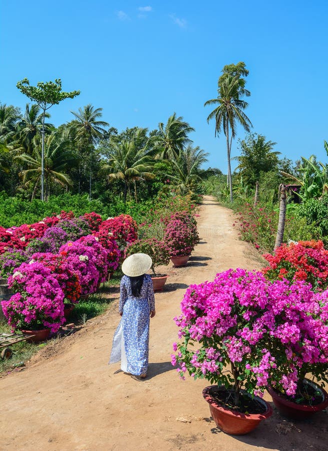 Vietnamesisk kvinna med den traditionella klänningen arkivfoto Vietnamesisk kvinna med den traditionella klänningen arkivfoto