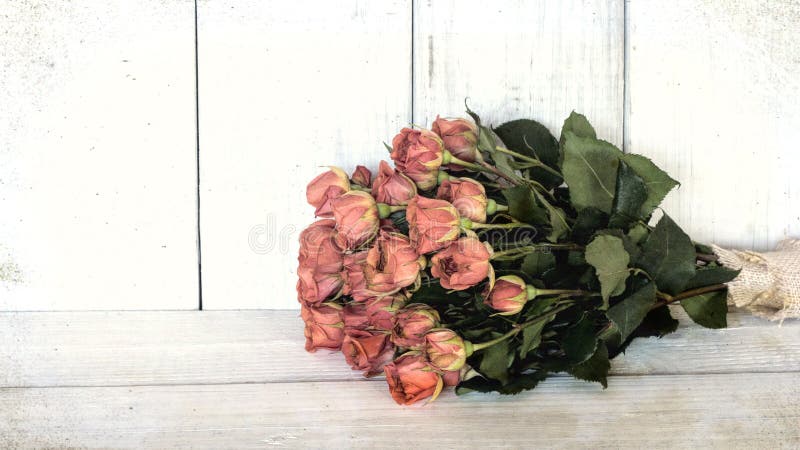 Vieux bouquet de Rose de pêche avec dessus une table de conseil blanc et sur un fond affligé de panneau de shiplap WI horizontaux images libres de droits Vieux bouquet de Rose de pêche avec dessus une table de conseil blanc et sur un fond affligé de panneau de shiplap WI horizontaux images libres de droits
