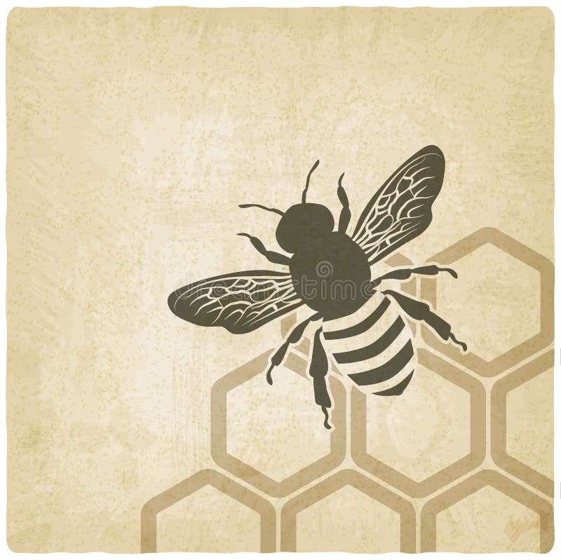 Vieux fond d'abeille illustration de vecteur Vieux fond d'abeille illustration de vecteur