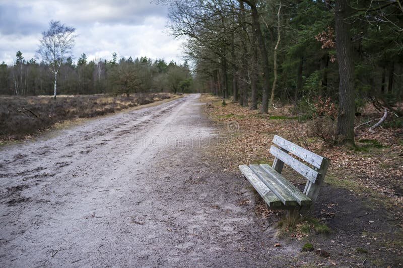 Vieux gabarits en bois au bord d'une forêt sur le côté d'une route vide, sur un fond des arbres, un ciel avec des nuages et photo stock Vieux gabarits en bois au bord d'une forêt sur le côté d'une route vide, sur un fond des arbres, un ciel avec des nuages et photo stock