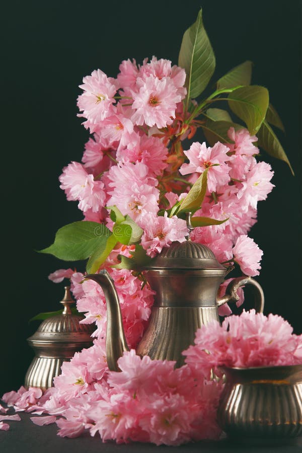 Vieux, le pot antique de café de moka de vintage décoré des fleurs de cerisier fleurit, tir déprimé foncé image libre de droits Vieux, le pot antique de café de moka de vintage décoré des fleurs de cerisier fleurit, tir déprimé foncé image libre de droits